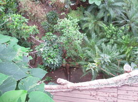 Decker et al. 2014. Figure 2. Gonwanaland.jpg