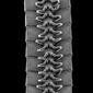 Millipede, Eumillipes persephone, ventral view of legs.jpg